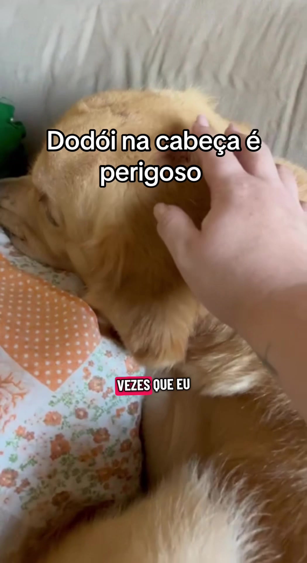@Docinho, a golden especial.