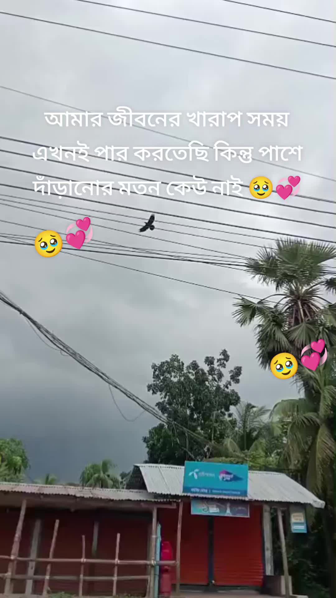 @🥰🥰🥰আমি মায়াবী রাজকুমারী 🥰