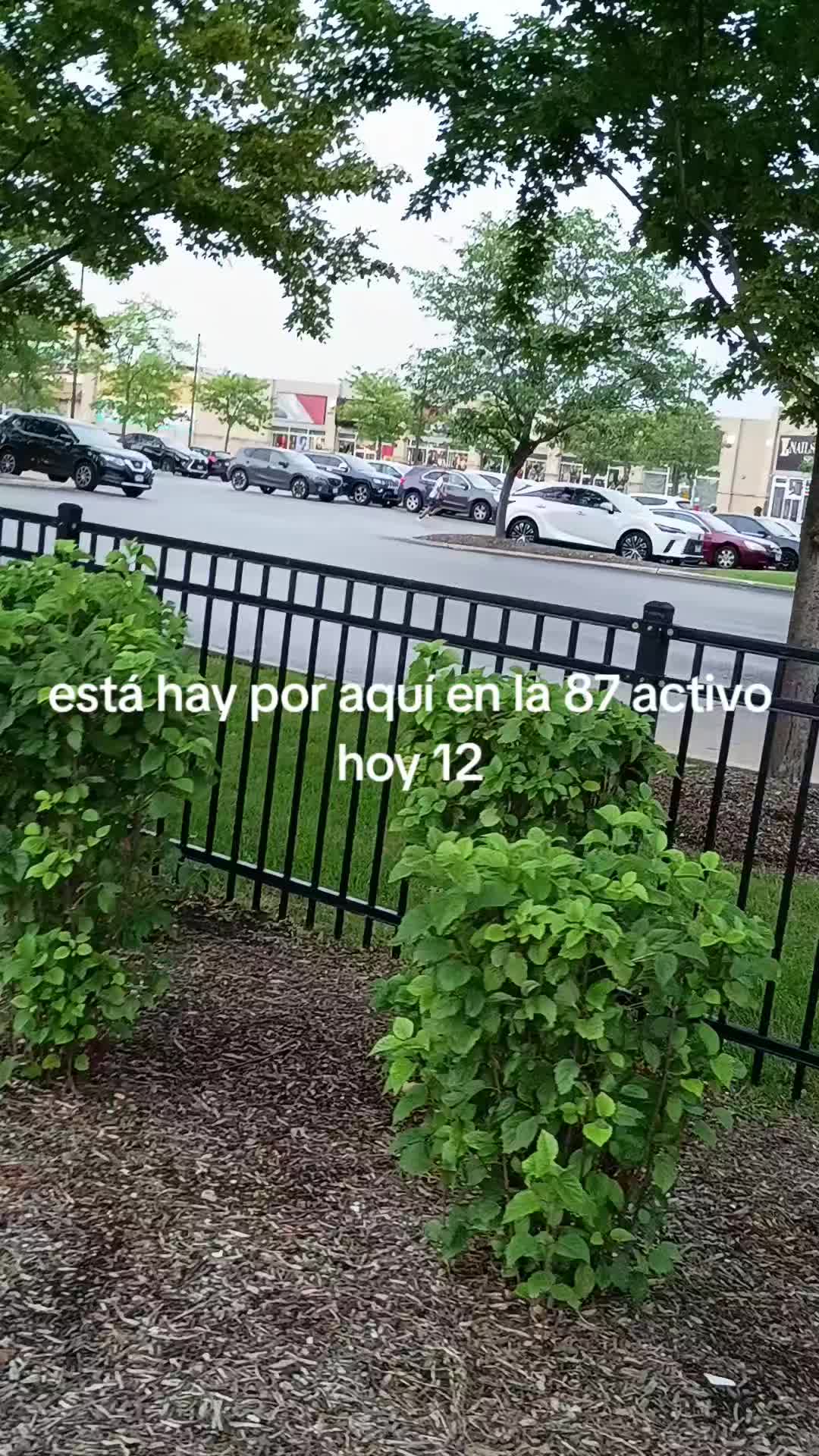 @Julio Mosqueda