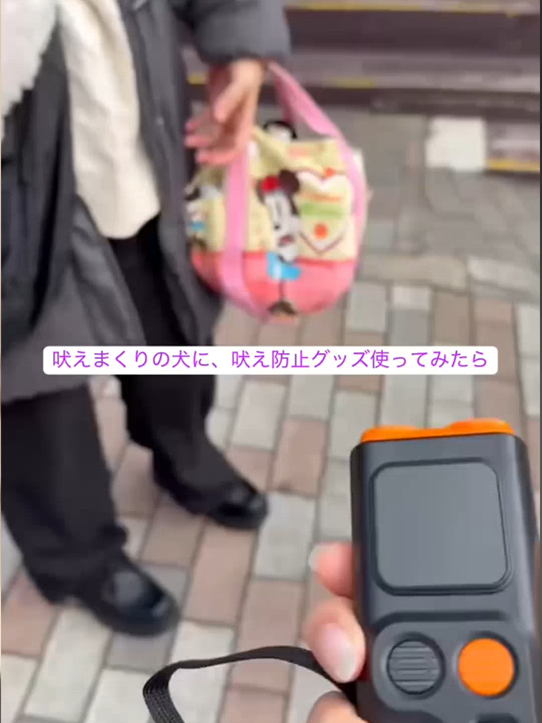 @桜饅頭