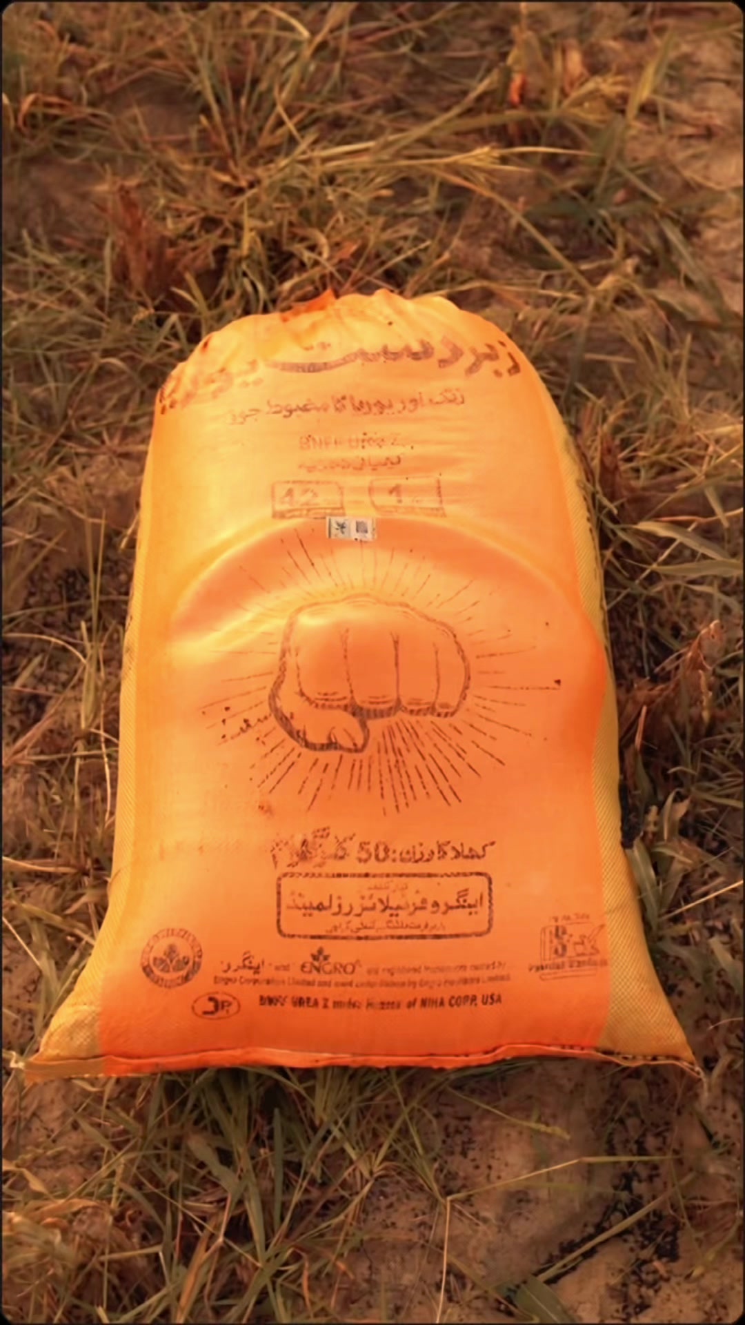 @دوستی نگر
