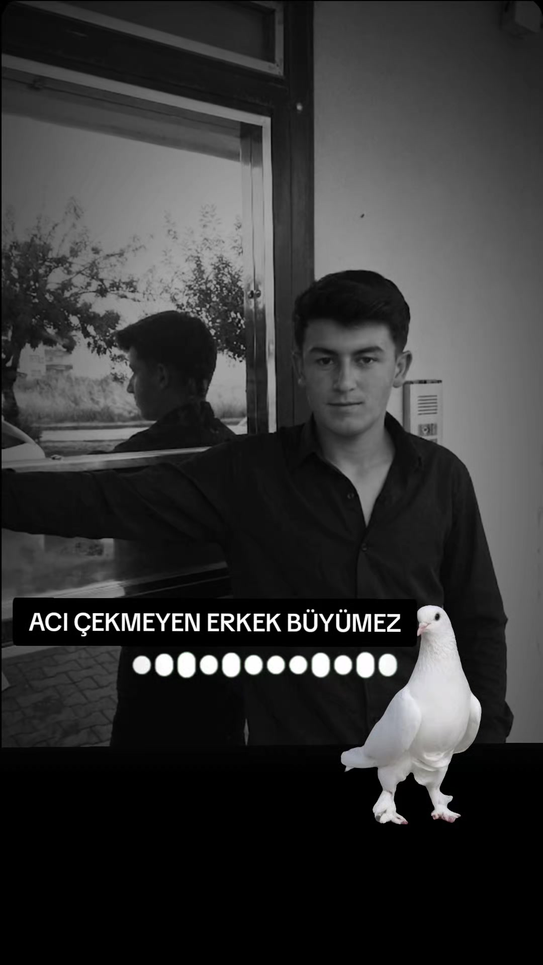 @M E H M E T _AYDIN._.01