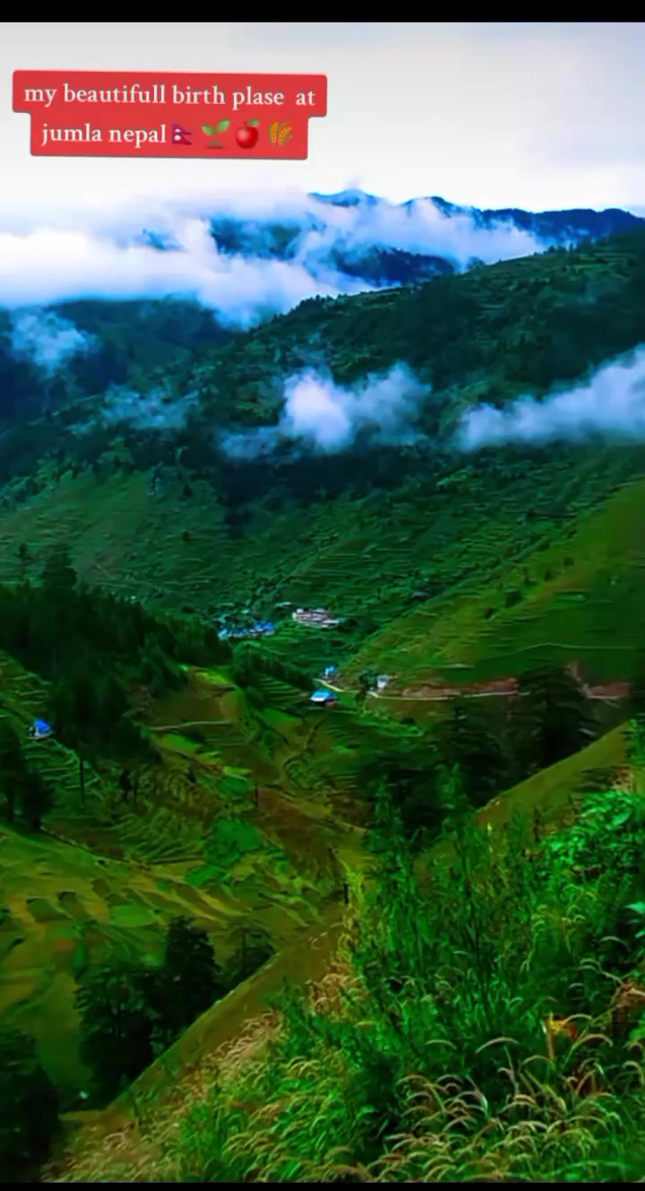 @< उर्मिला >✨🩵