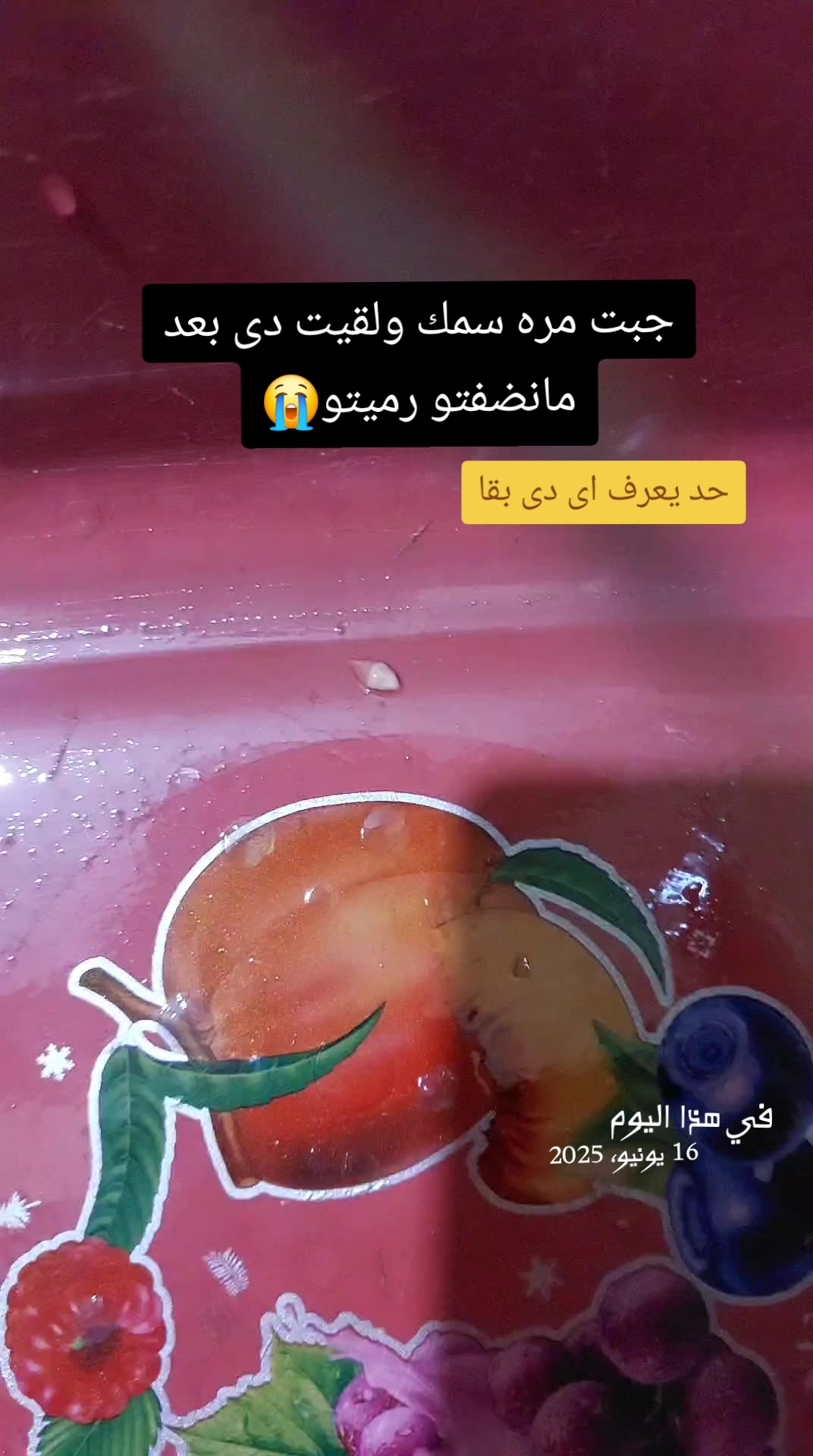 @๐๐๐๐ ๐๐๐๐๐ ๐