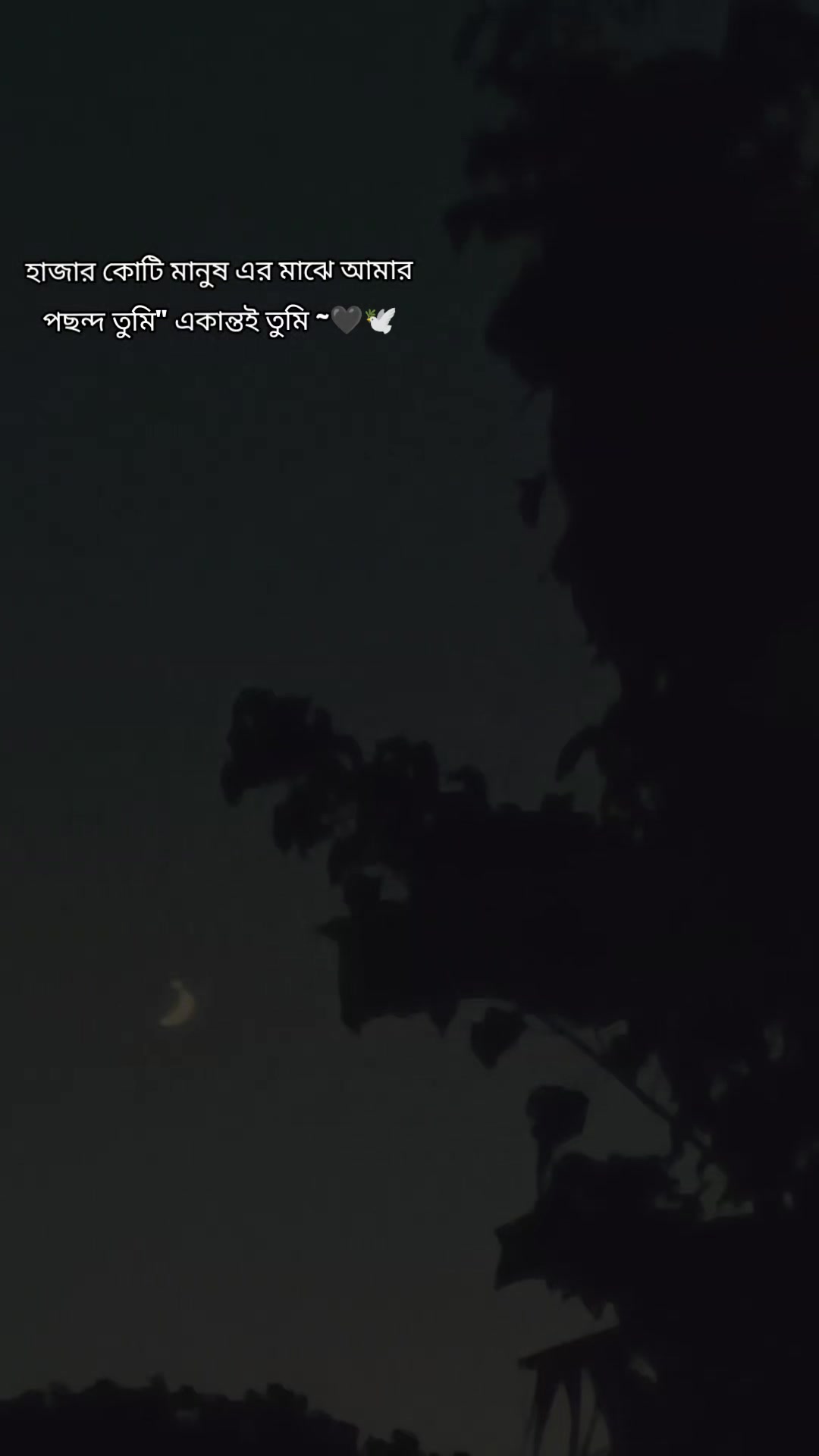 @Ꮮɪᴍᴏɴ_X!!⸙😎