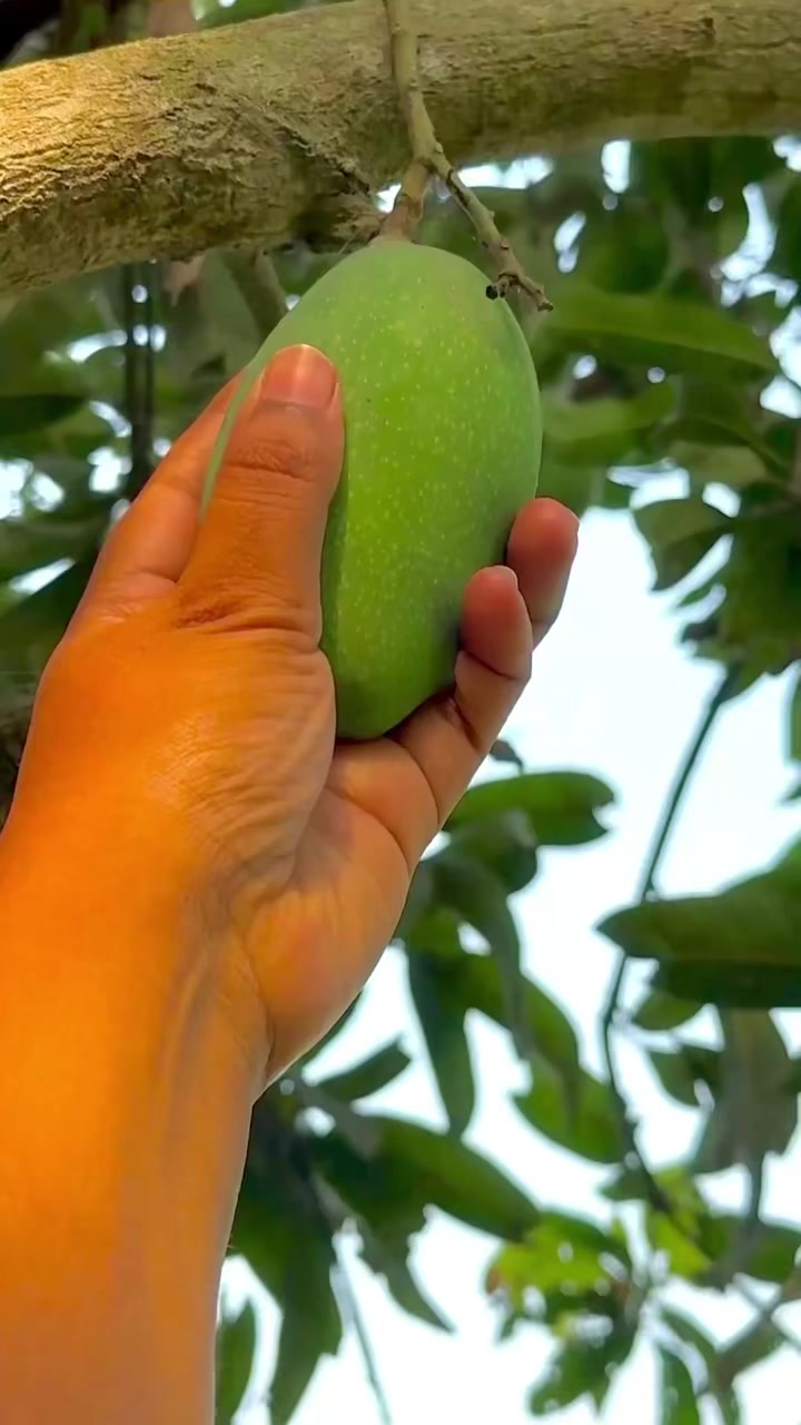 @cookwithsanikasmom