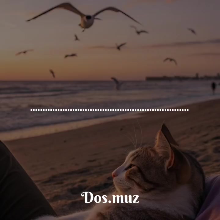 @𝄞𝐌𝐔𝐒𝐈𝐂𝄞