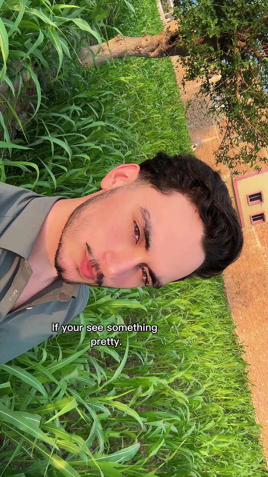 @🐊
