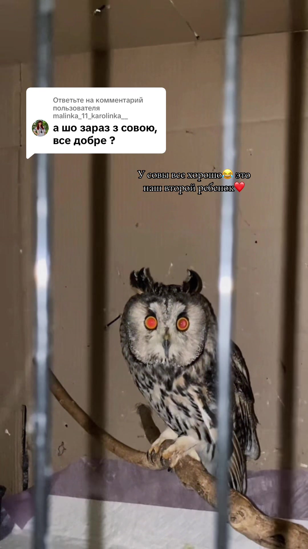 @sovа1827