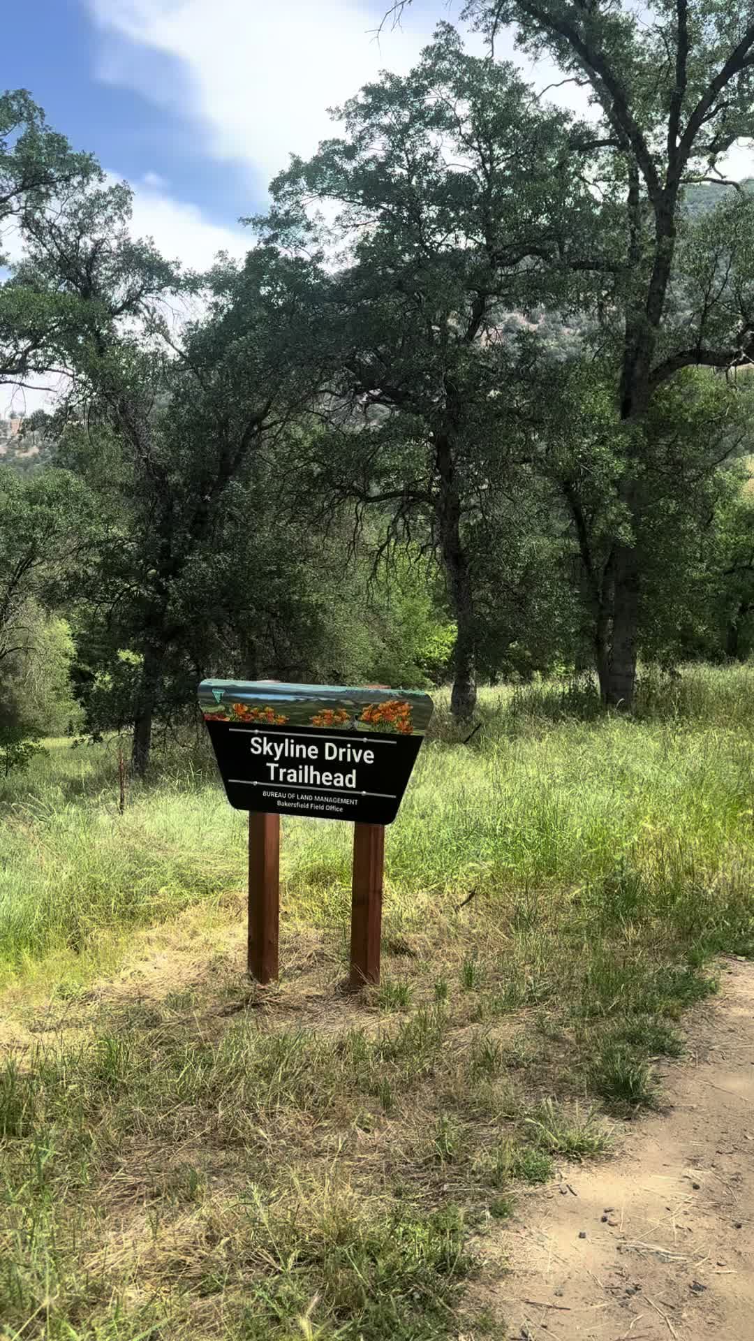 @Elli