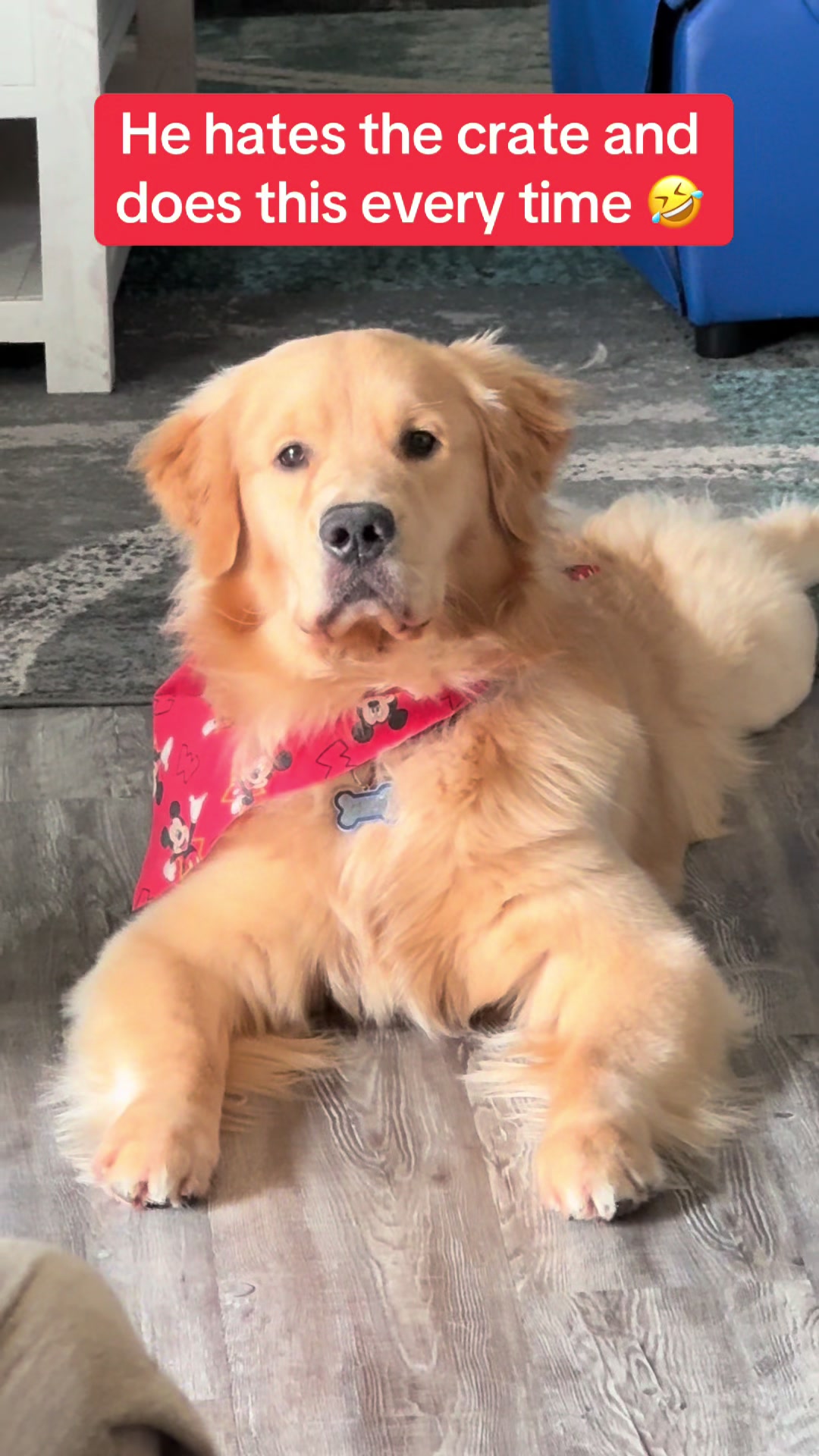 @Tucker_tha_Golden