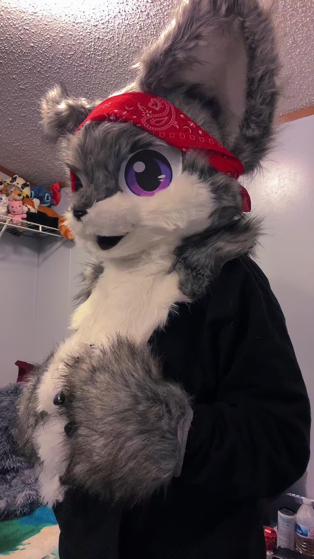 @karai_WolfDragon23