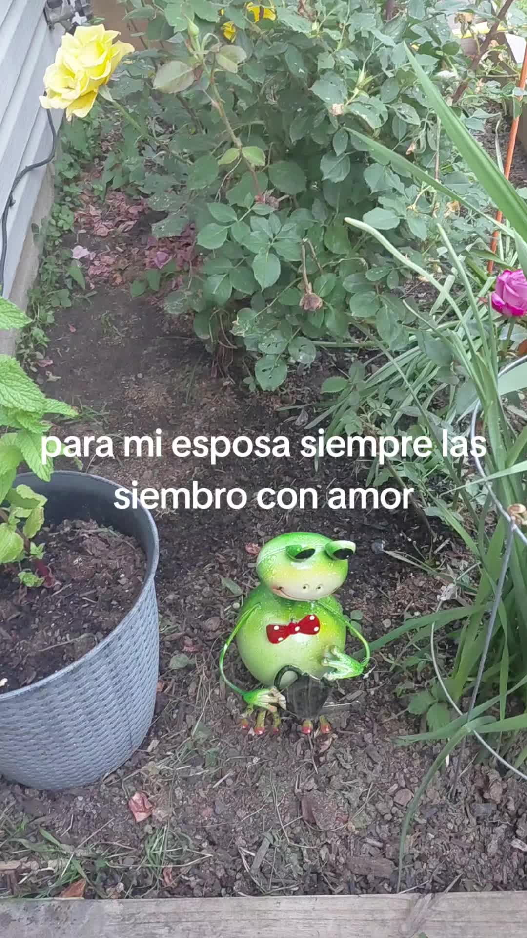@Julio madrid