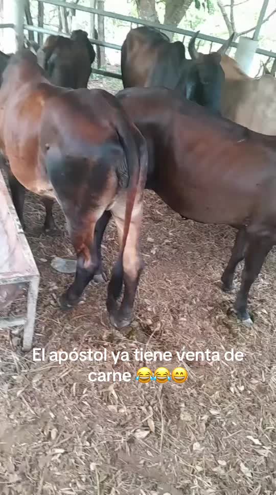 @Samir Buezo