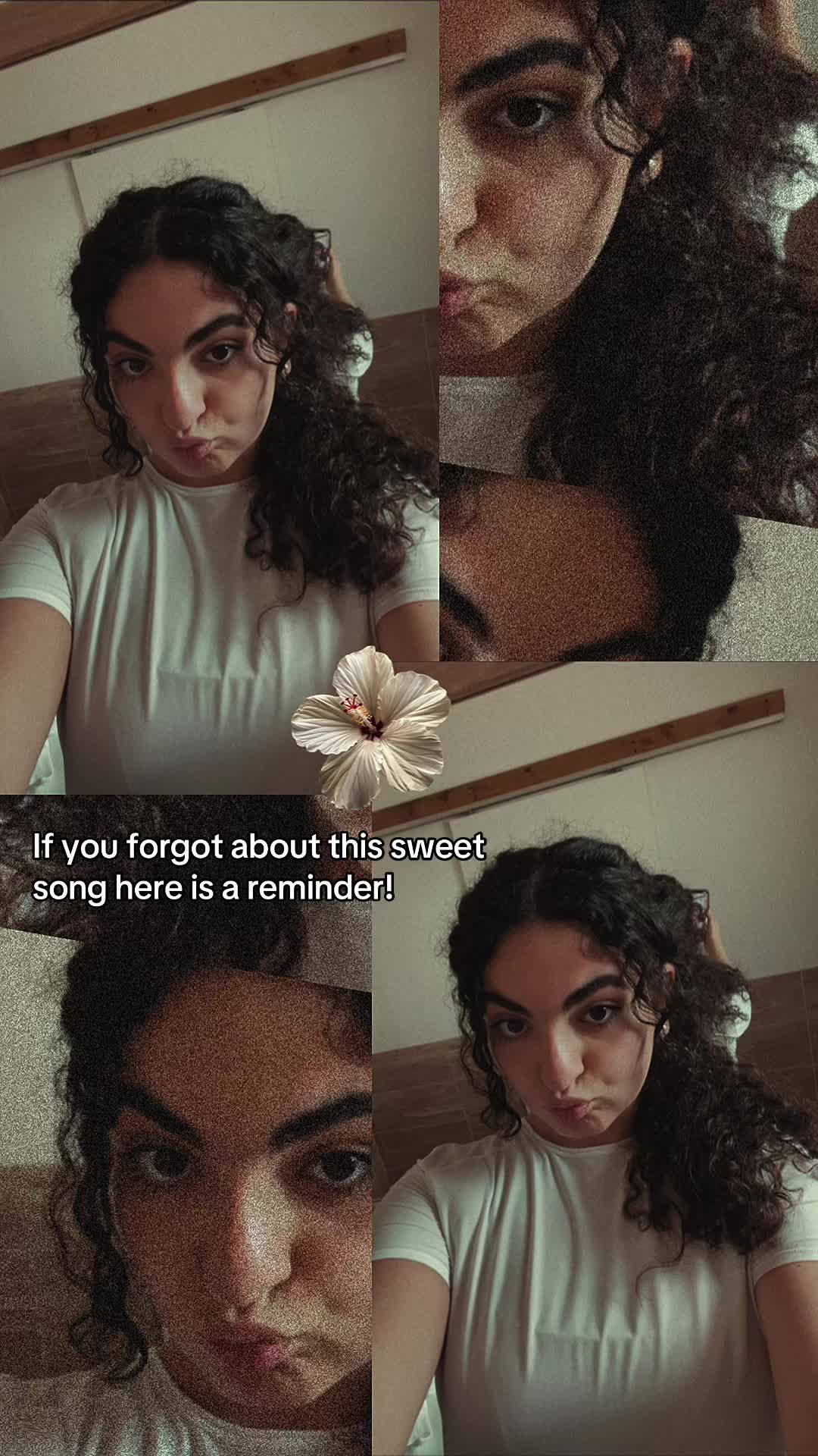 @Shannon Semaan