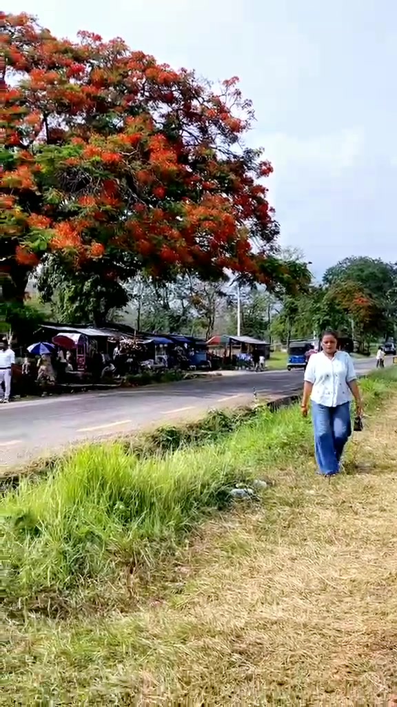 @menukaniraula506