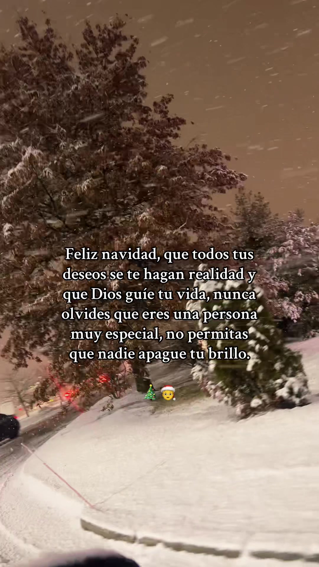 @Sisitamikany🌸🍂❤️🩹