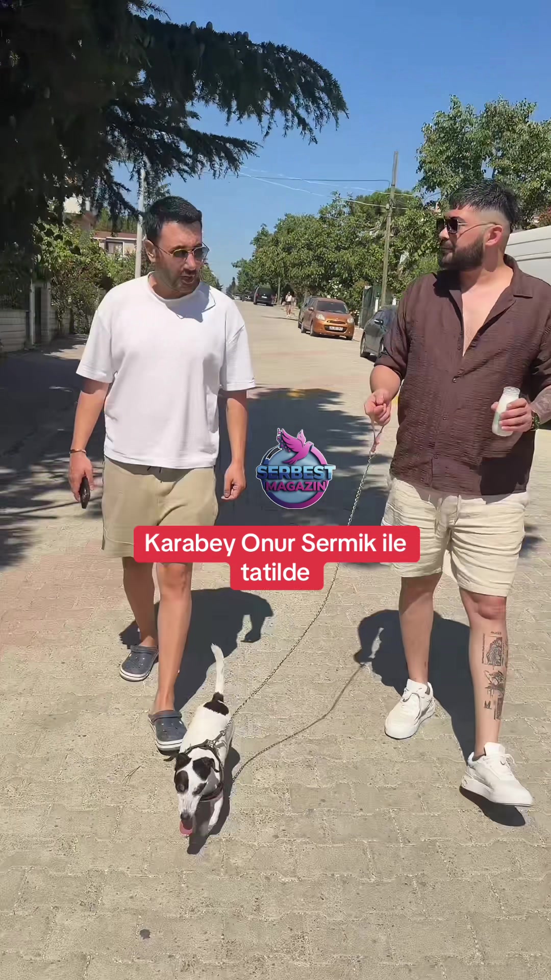 @Serbest Magazin