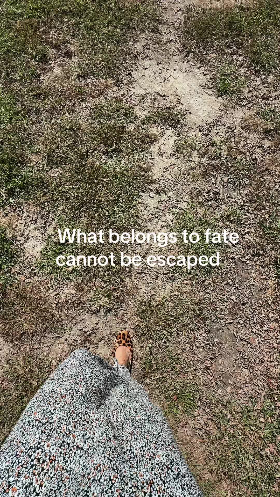 @🧑🏻🩰✨