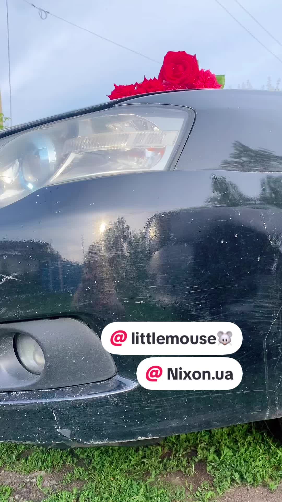 @cats_conscience