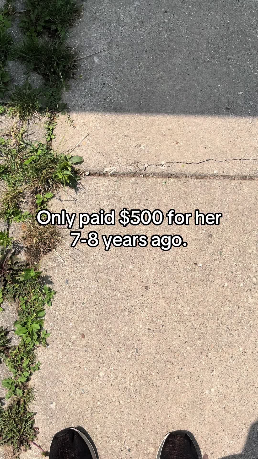 @KoolBeanzes
