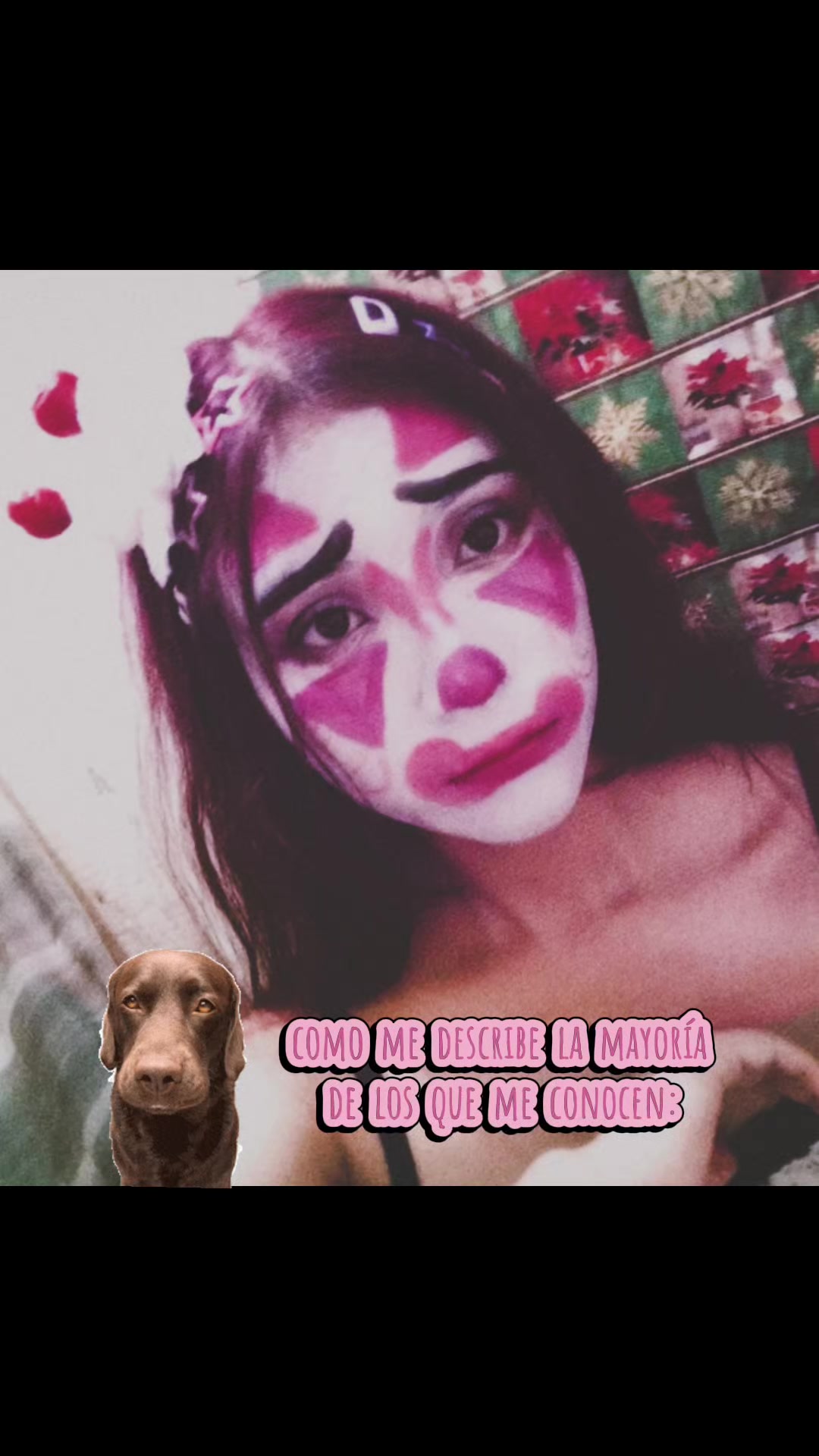 @tamalito
