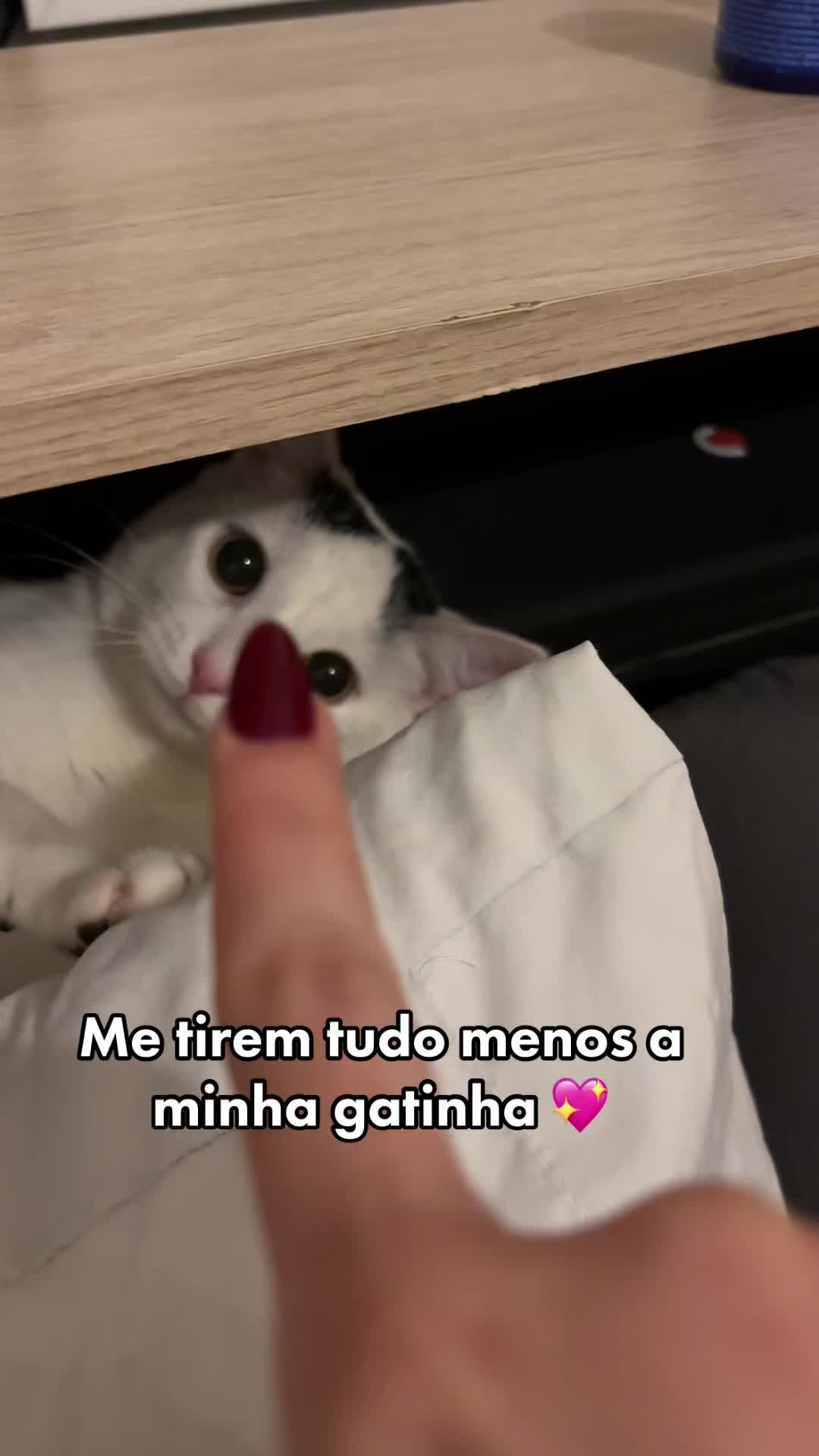 @insanny_