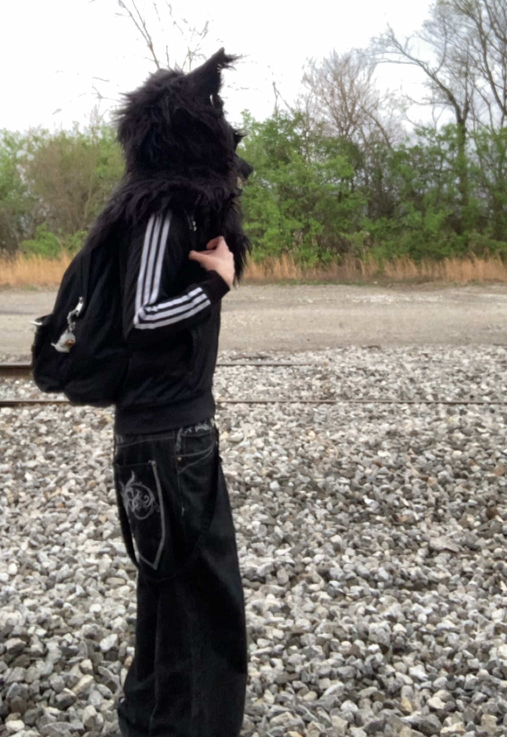 @furtanyl🐺