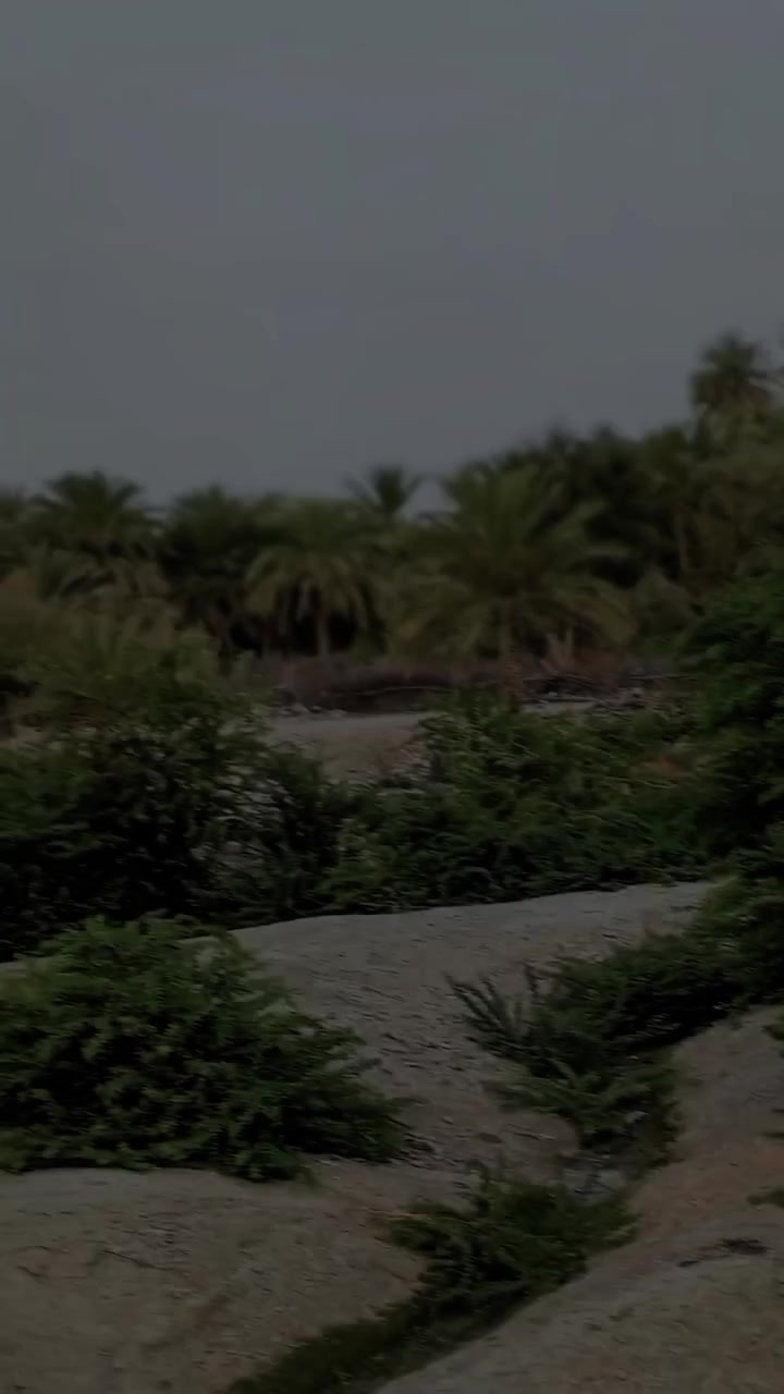 @و &bull; ♛