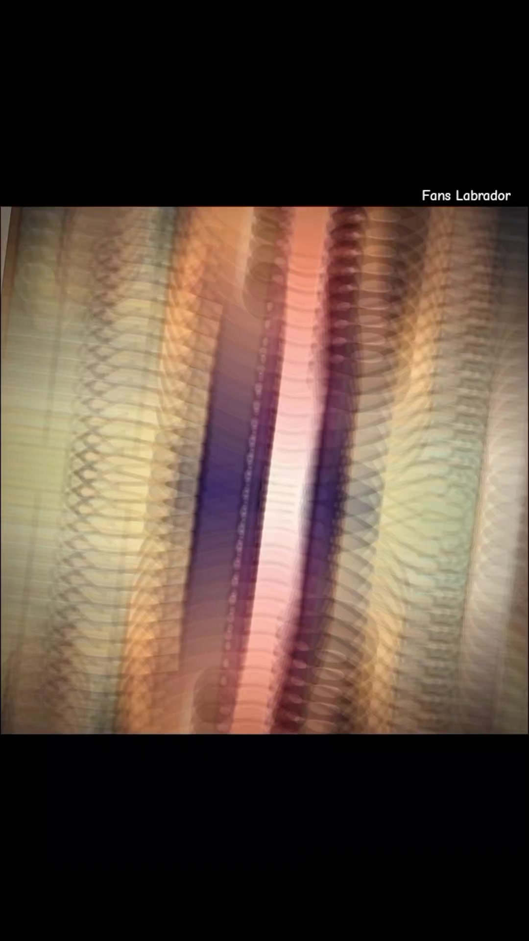@𝐅𝐚𝐧𝐬 𝐋𝐚𝐛𝐫𝐚𝐝𝐨𝐫