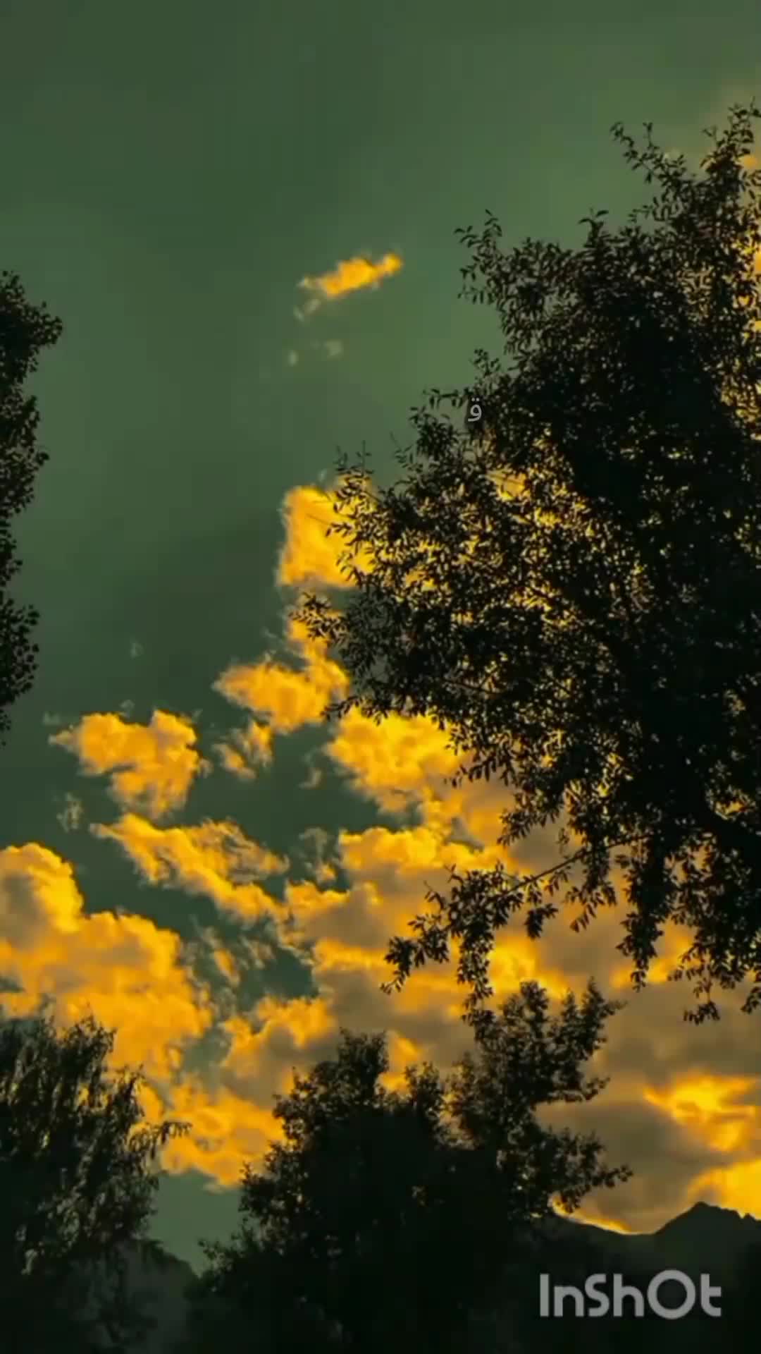 @♡⋇⋆✦⋆⋇(مصحف)⋇⋆✦⋆♡