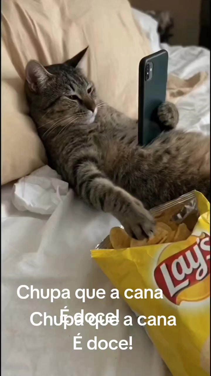 @O Lula &eacute; Pop!