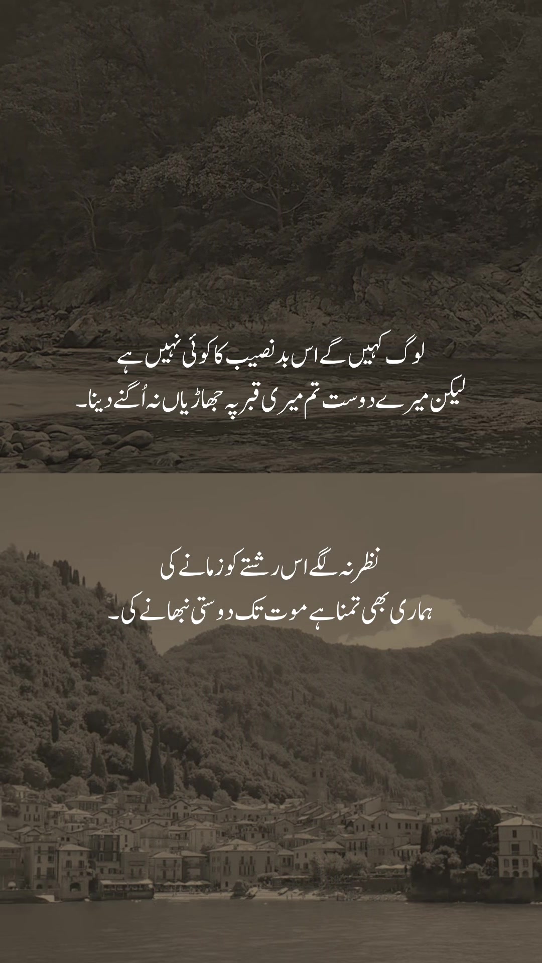 @𓆩شیراز𓆪