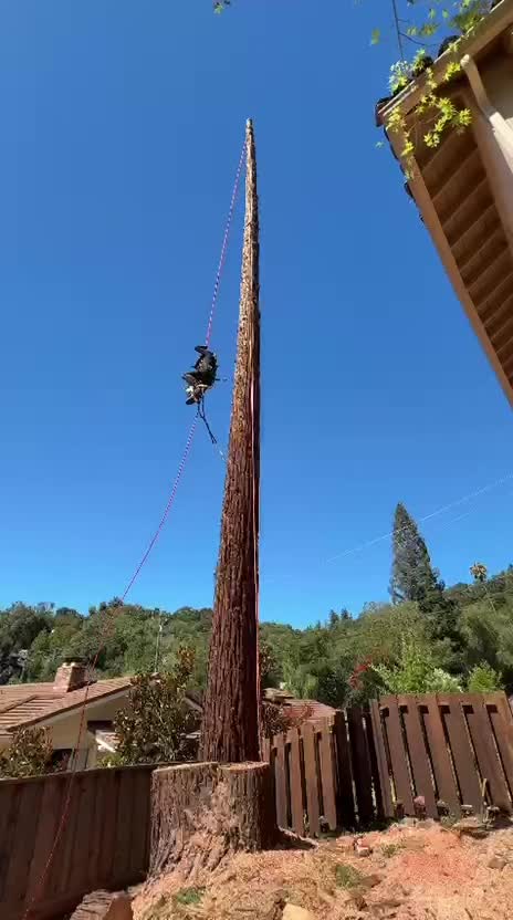 @Leonel Cortez