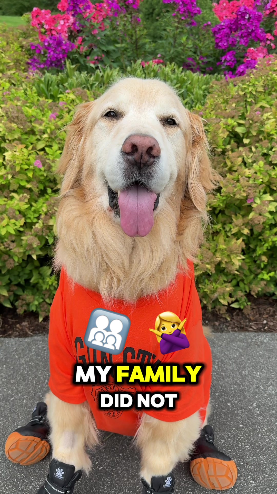 @A Golden and Fam