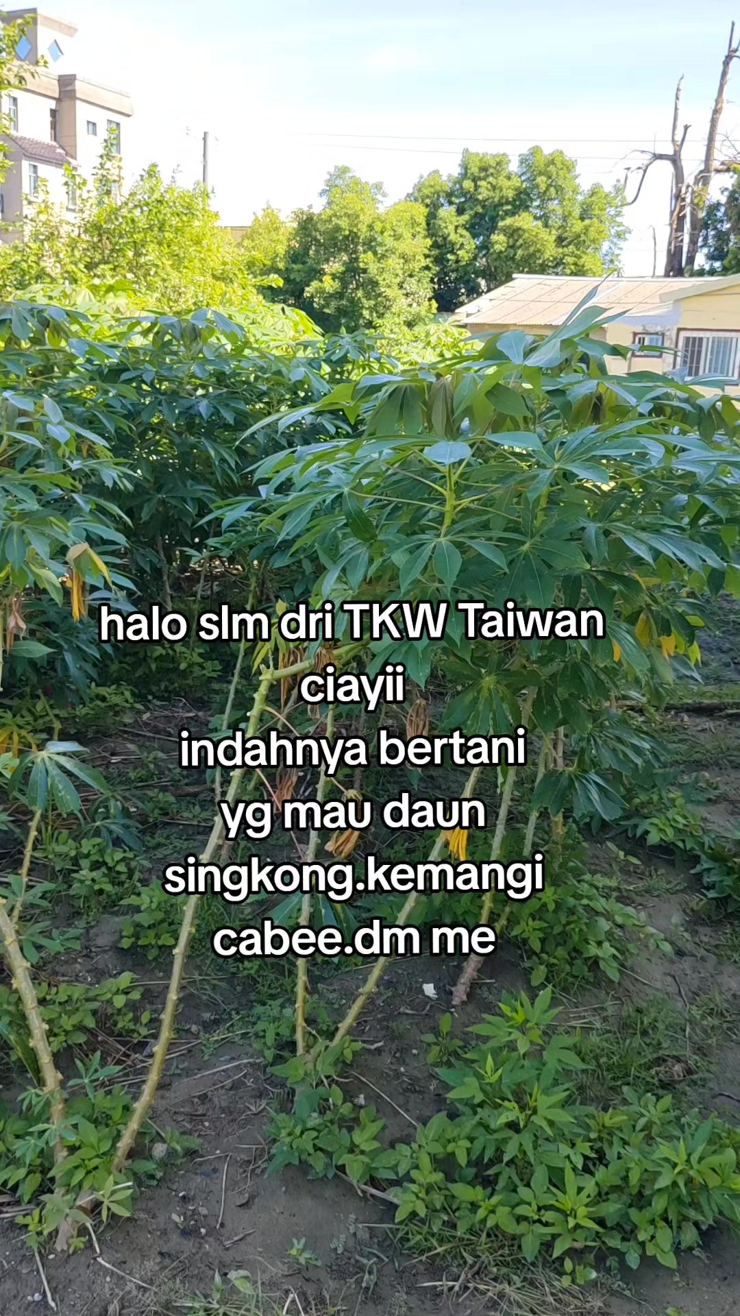 @puzzi.90