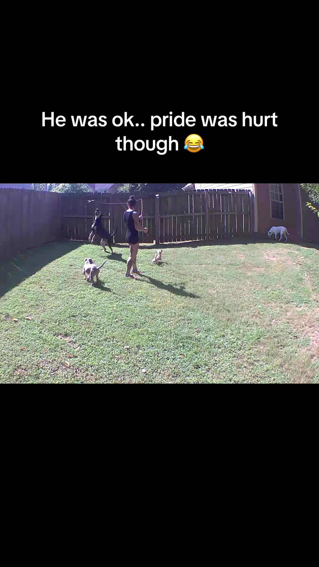 @Tabby