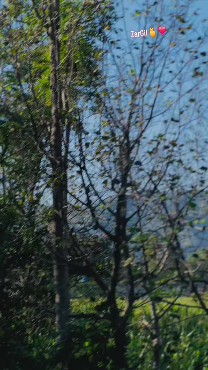 @⚡️𝗦𝗸_𝗦𝗮𝗵𝗶𝗟🚩&sup2;&sup3;