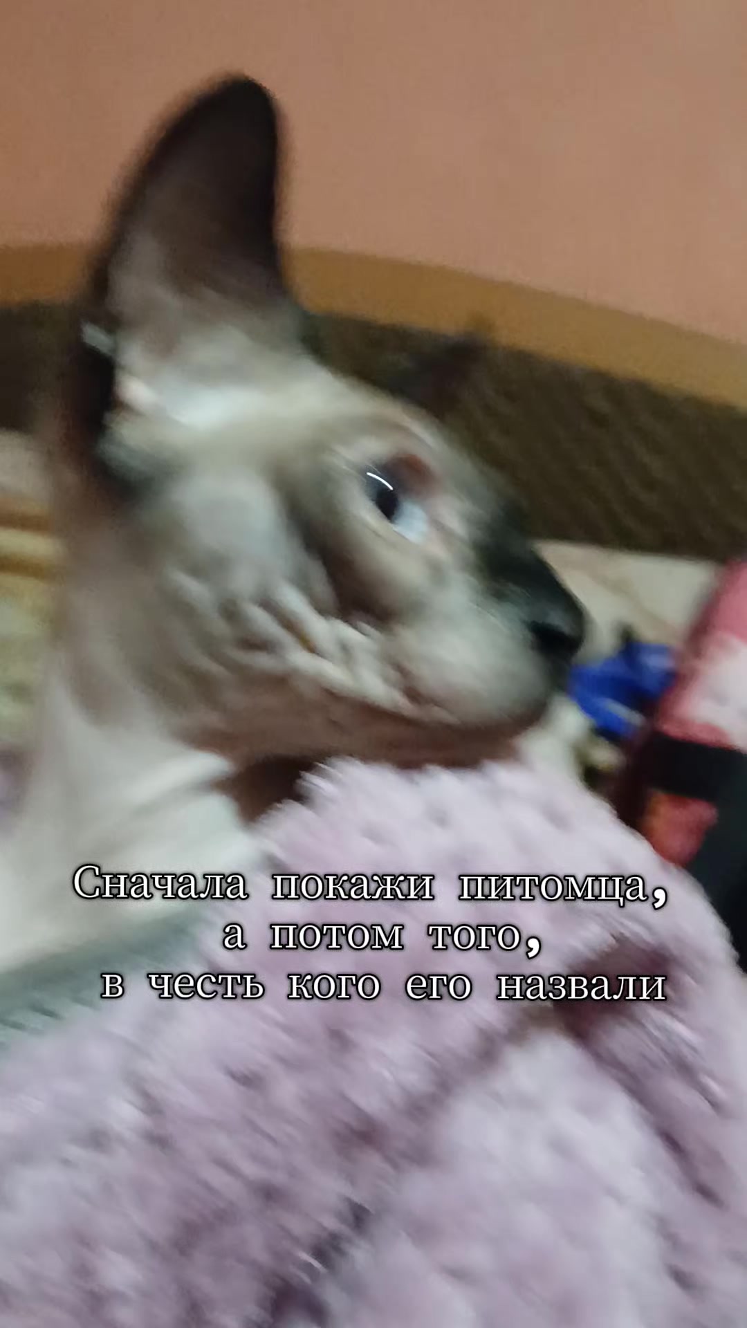@mawszxa(!)#