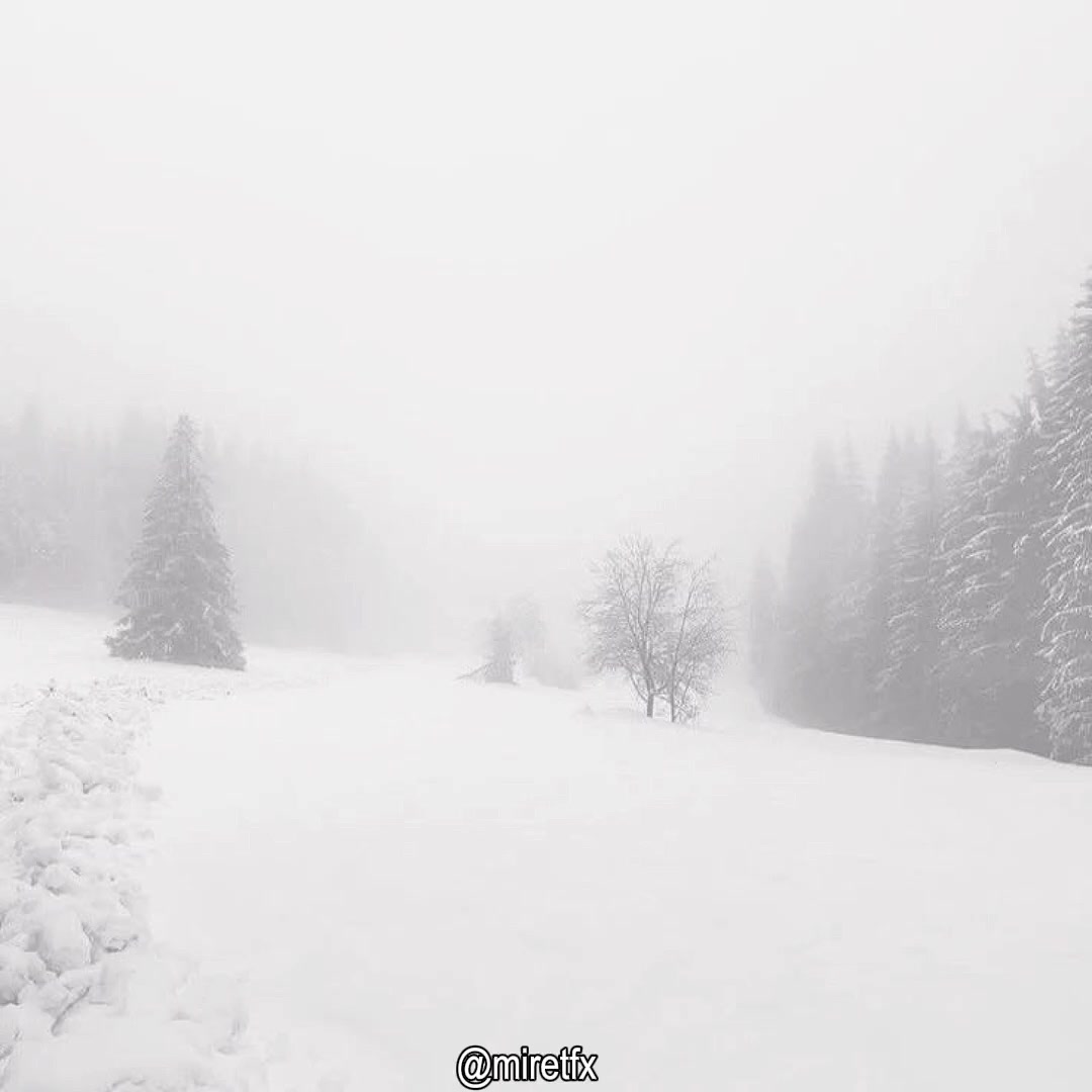 @𝒶𝓁𝒾𝓈𝒽𝒶