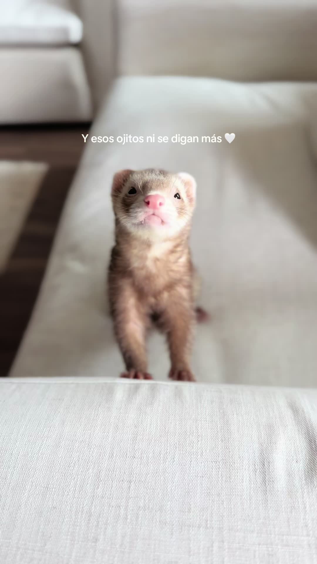 @Moon & Nala