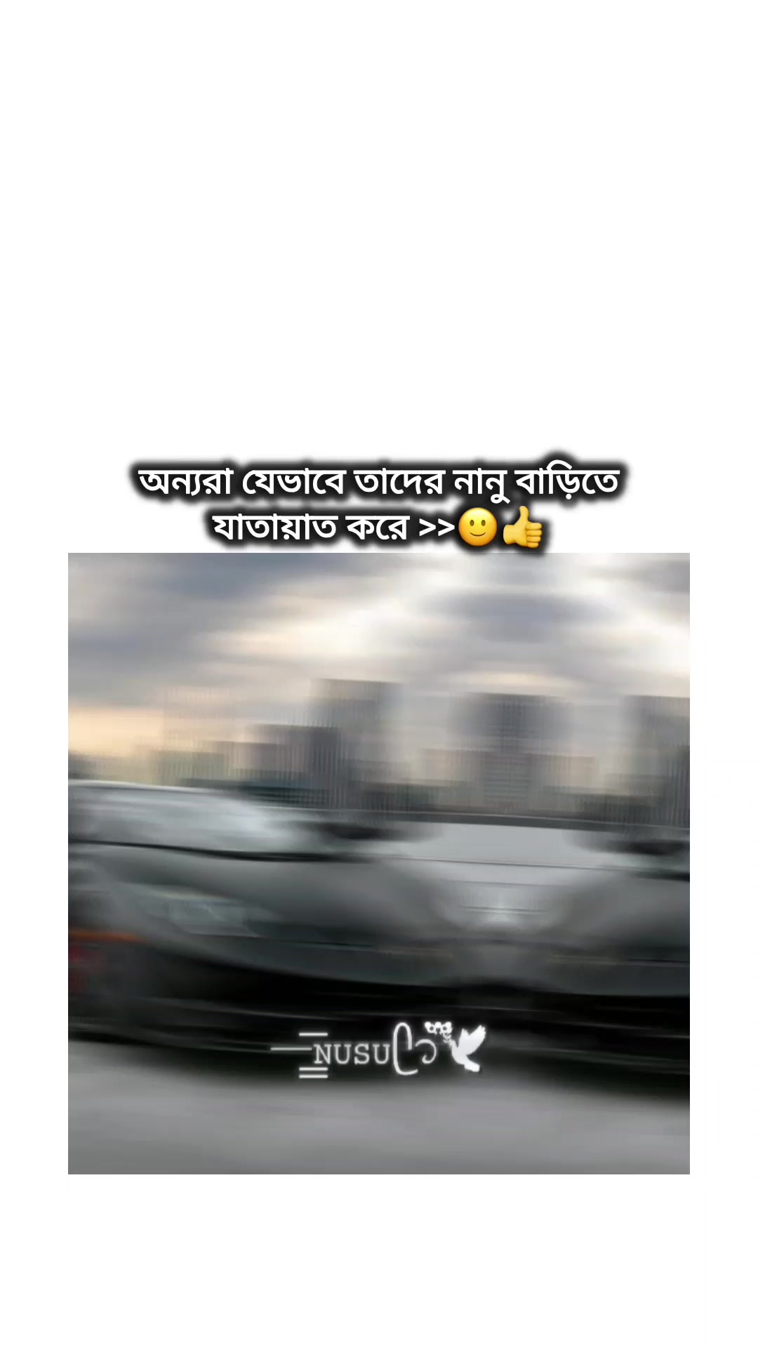 @⏤͟͟͞͞𝙽𝚄𝚂𝚄ᥫ᭡፝֟🕊️