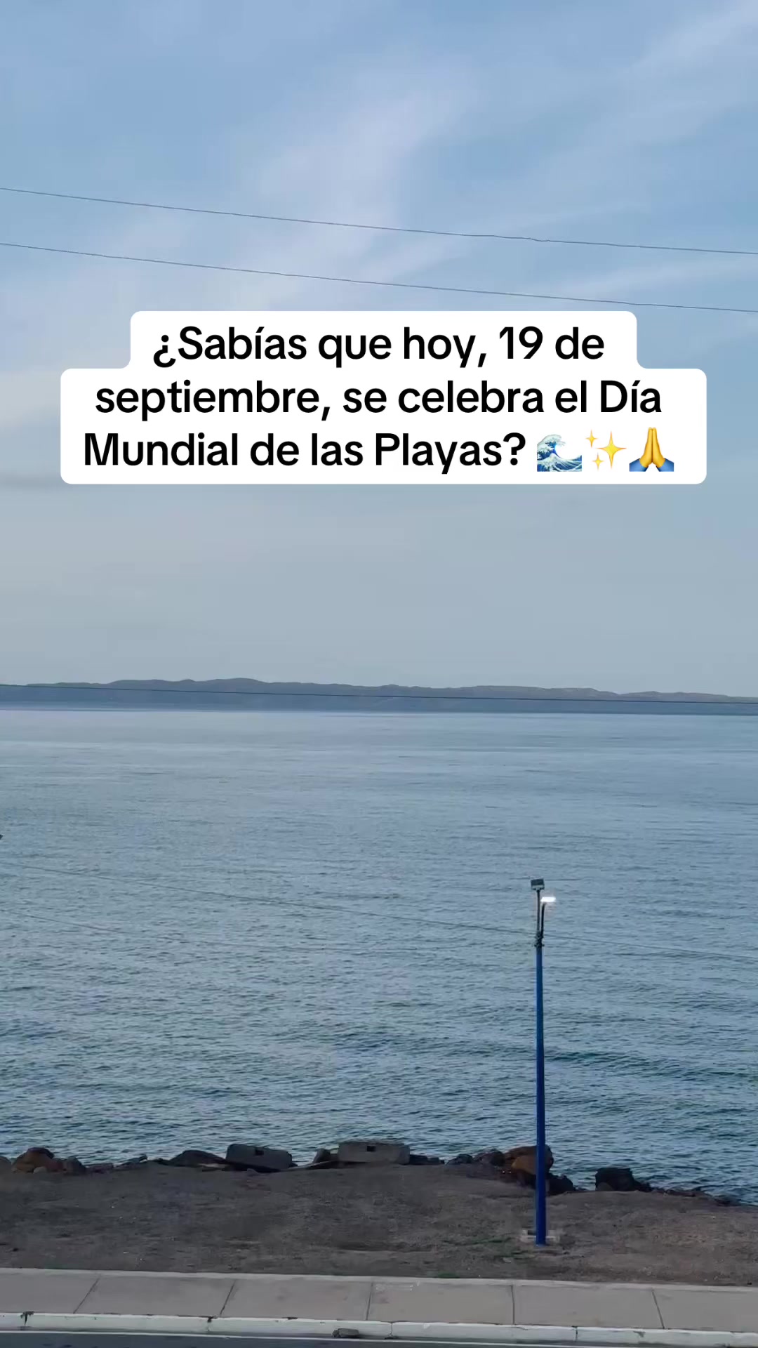 @Isabel Rondón