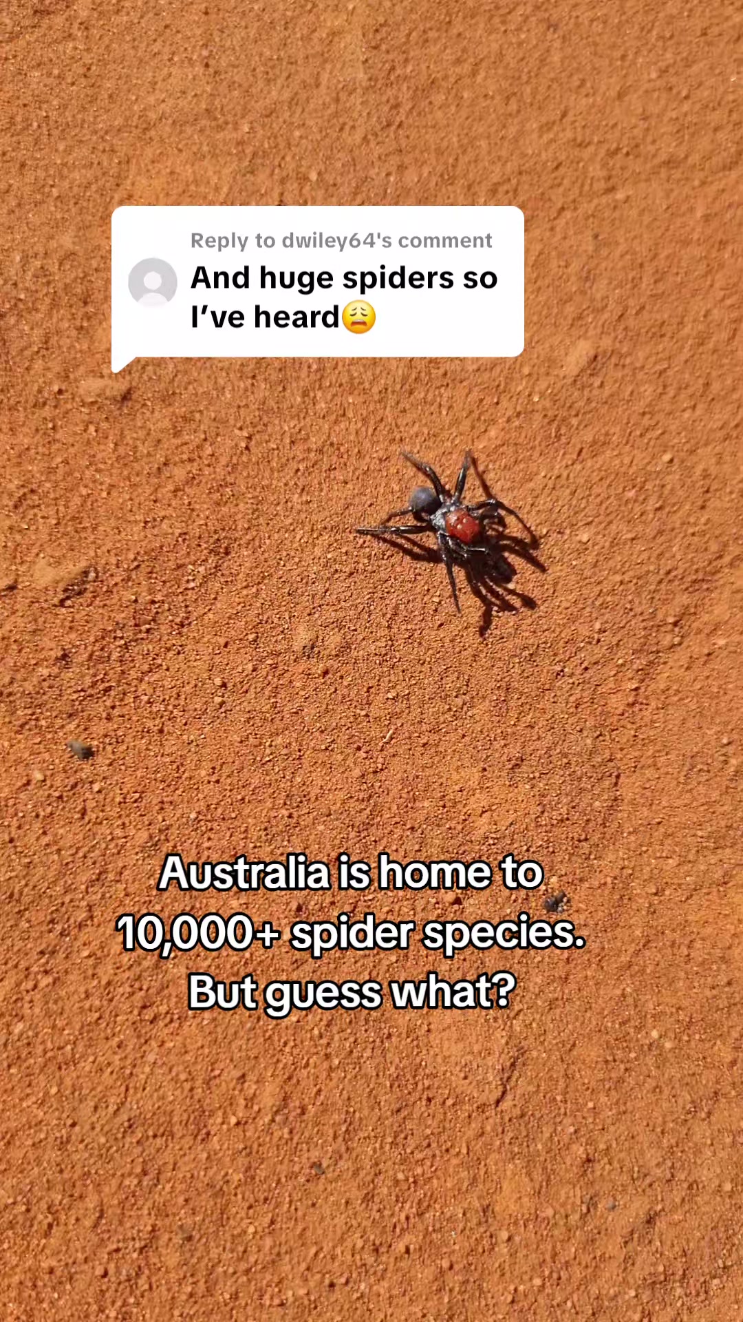 @SM Wildlife