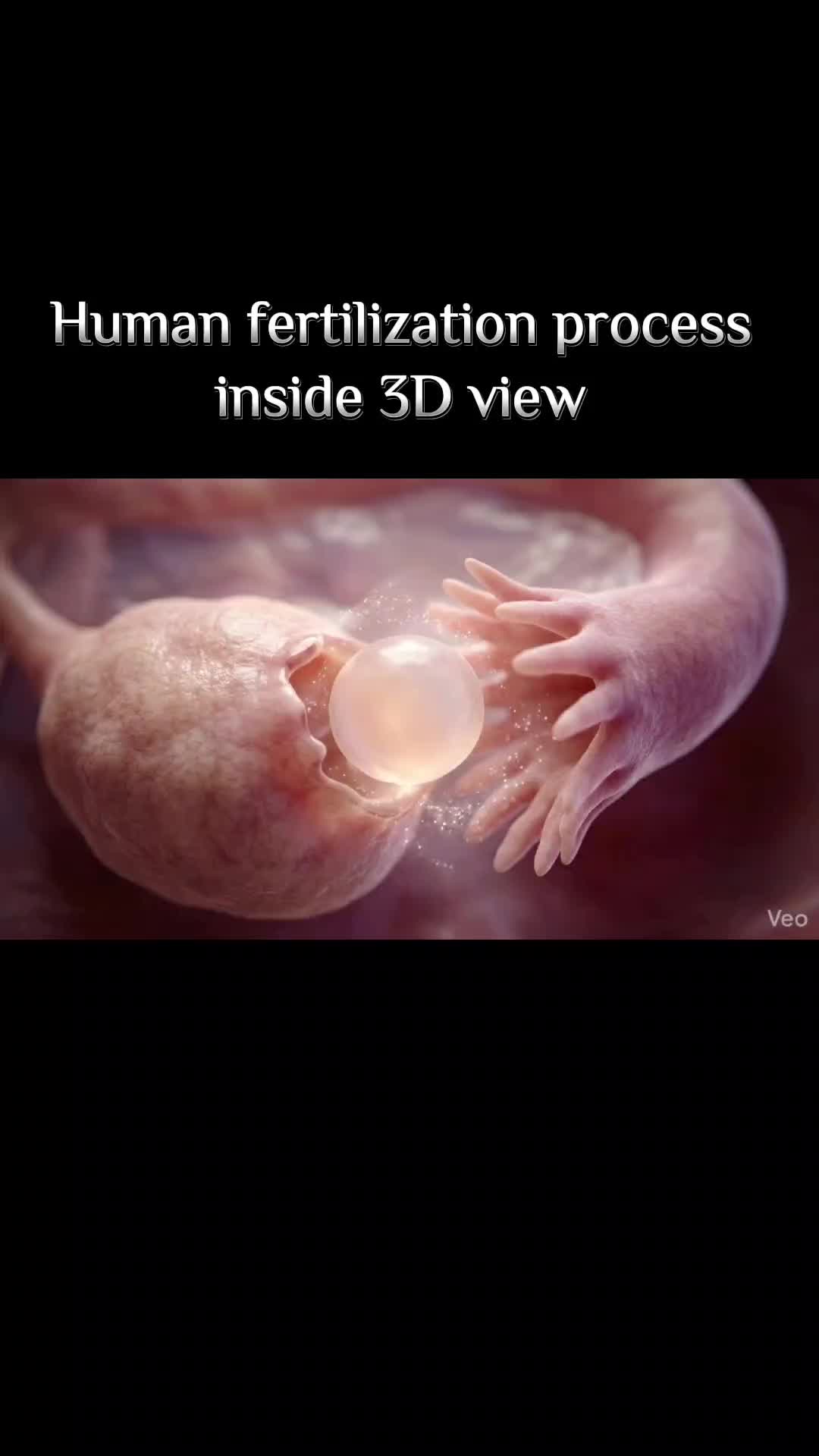 @BABY INSIDE-7