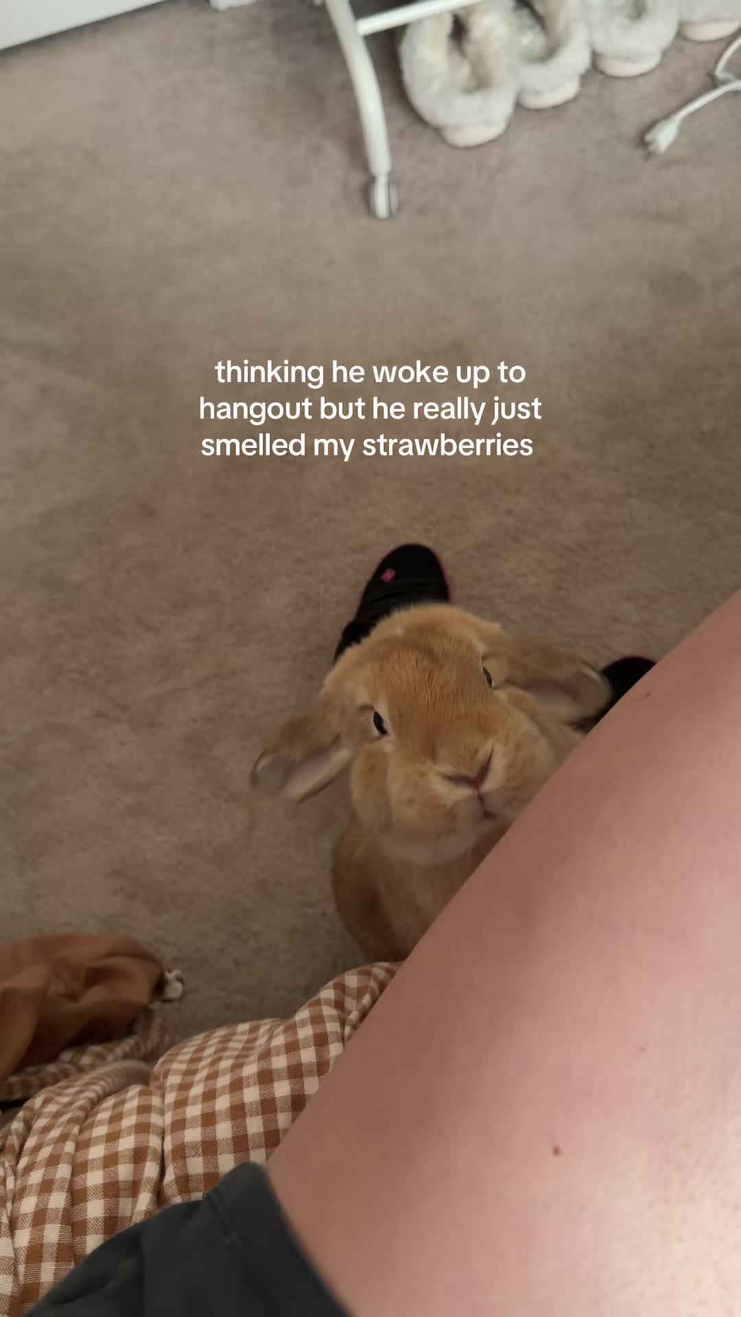 @paigey ₊˚⊹ ᰔ