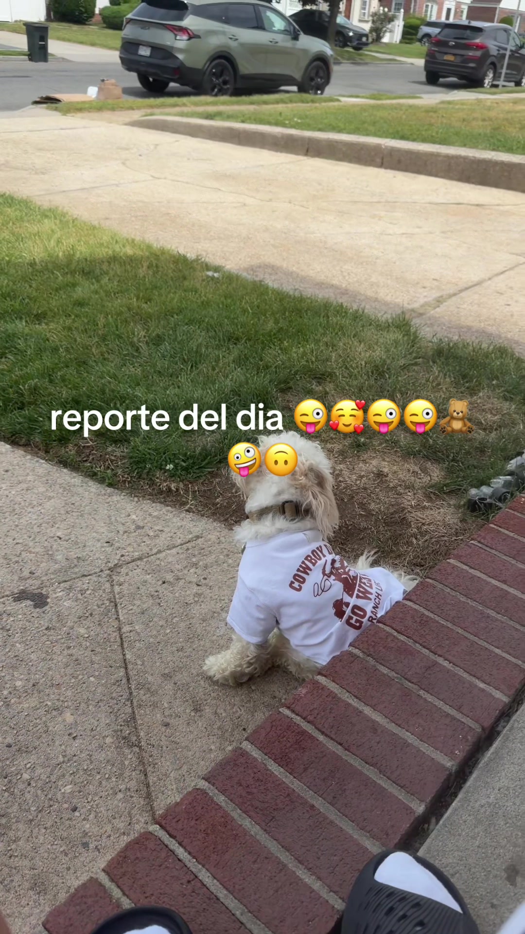 @El Byron