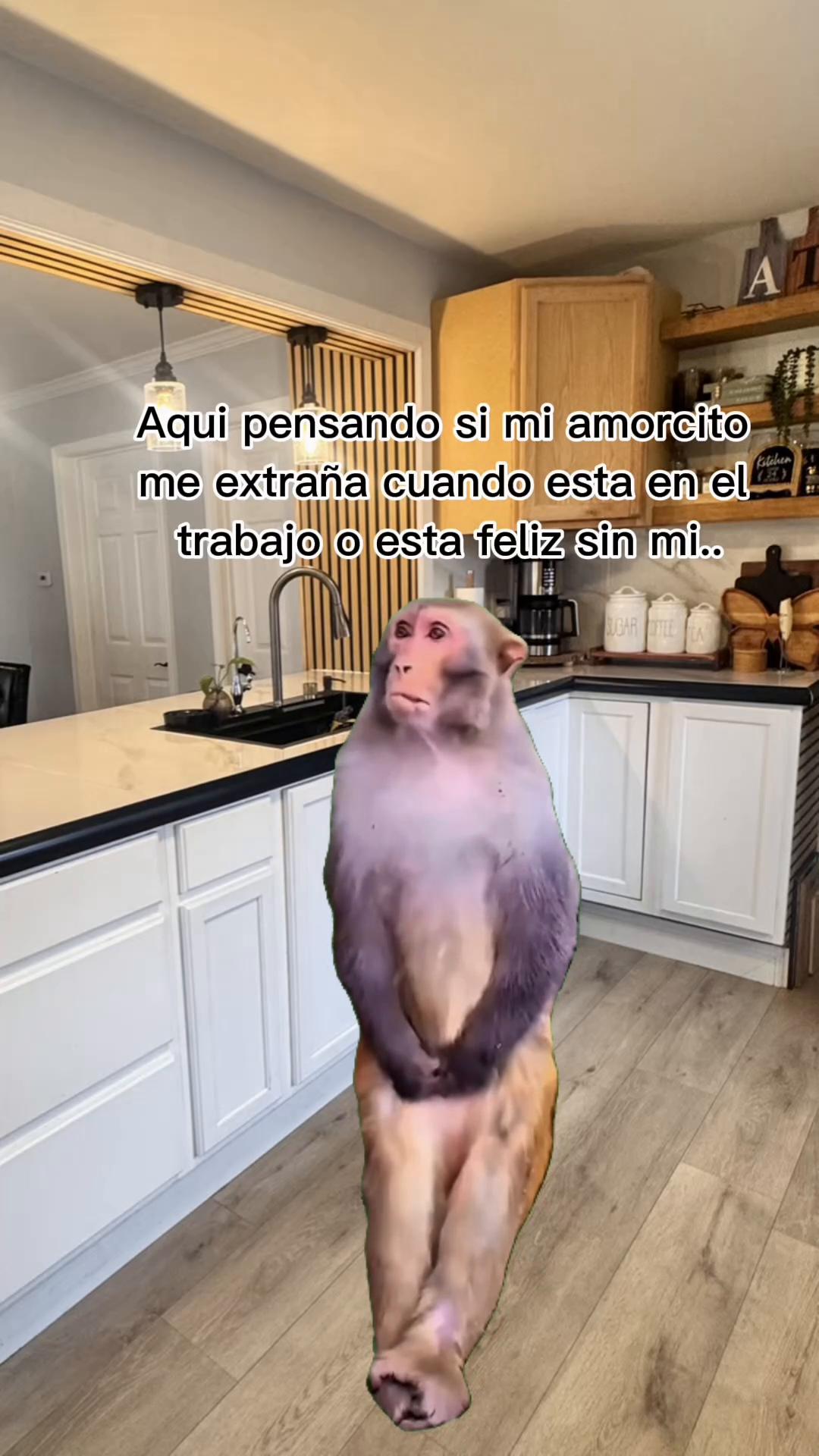 @dulce.garayp