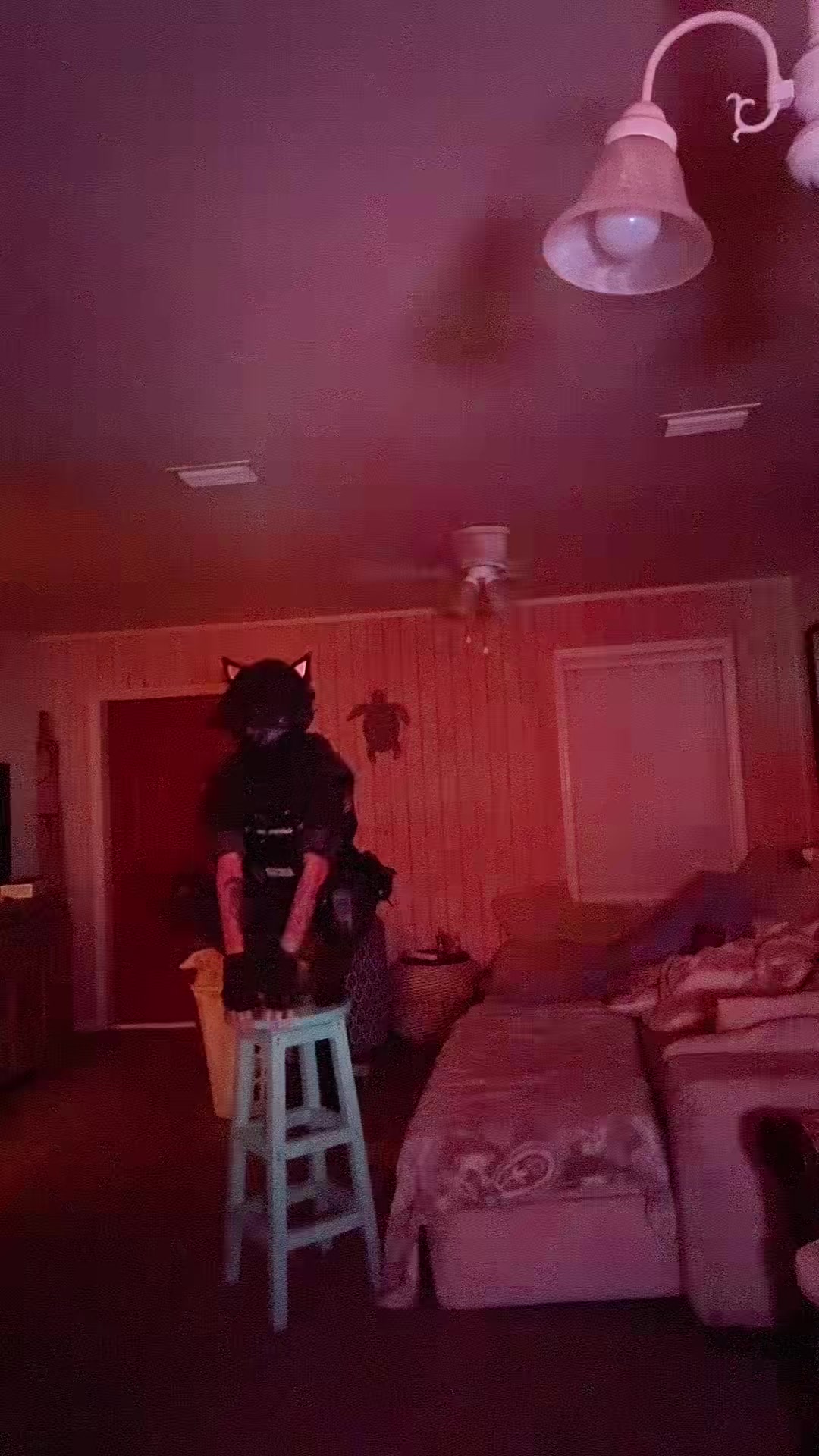 @Callsign:Cat