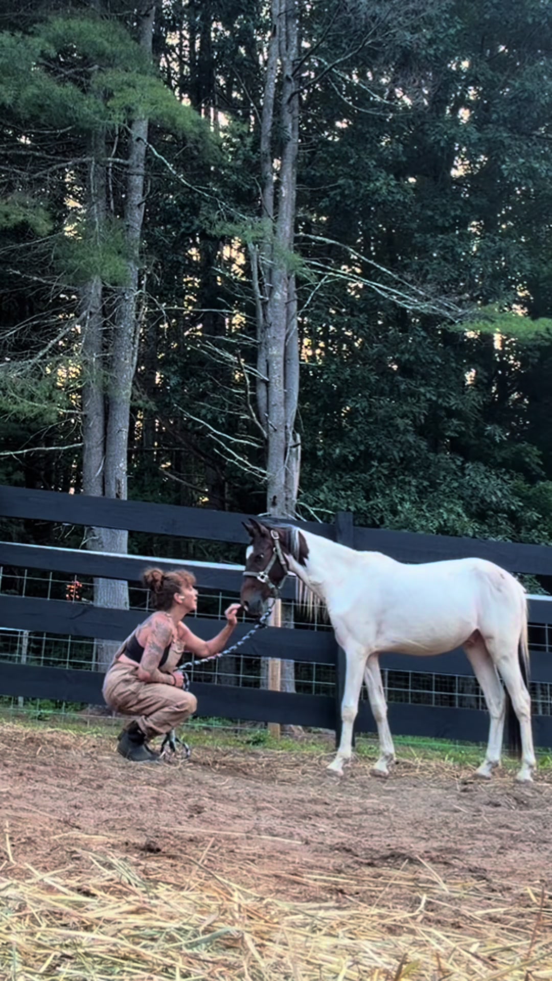 @Unshackled Hearts Ranch